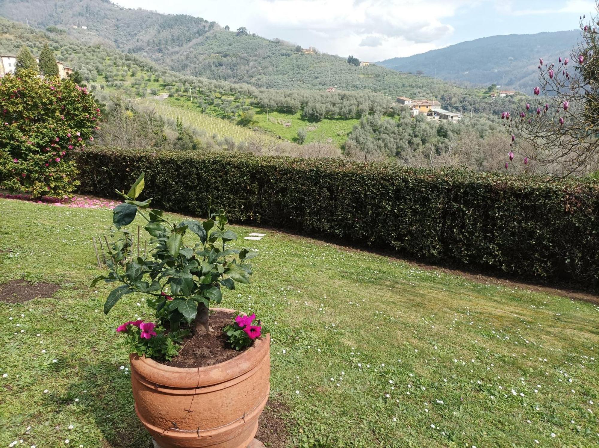 Villa Camelia Tuscany Пеша Экстерьер фото